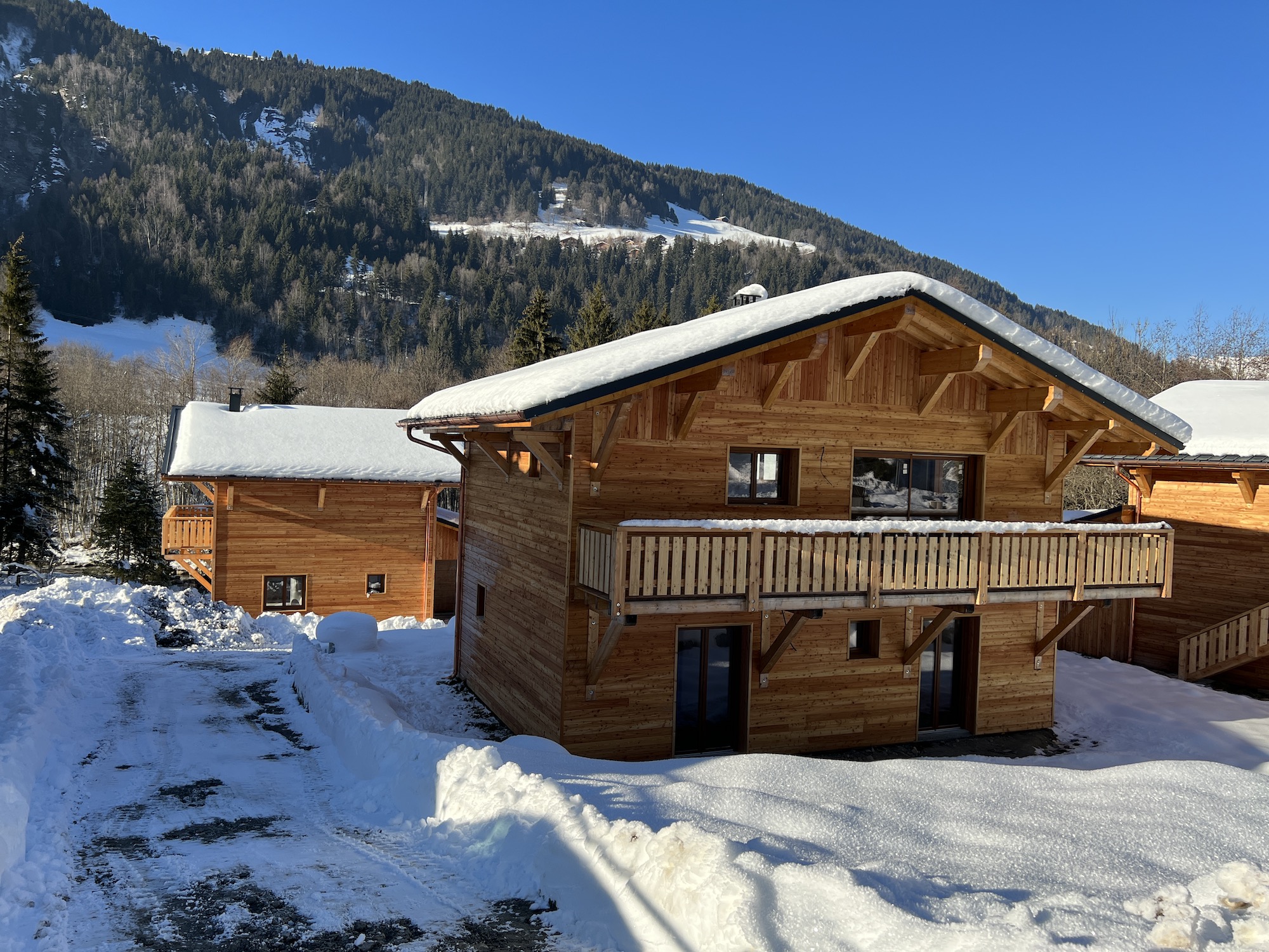 NEW LUXURY CHALETS IN THE ALPS